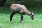 Tierpark Hellabrunn