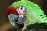 Zoo Zamosc