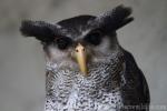 Kuala Lumpur Bird Park