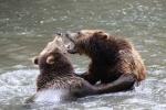 Tierpark Hagenbeck