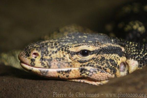 Common water monitor