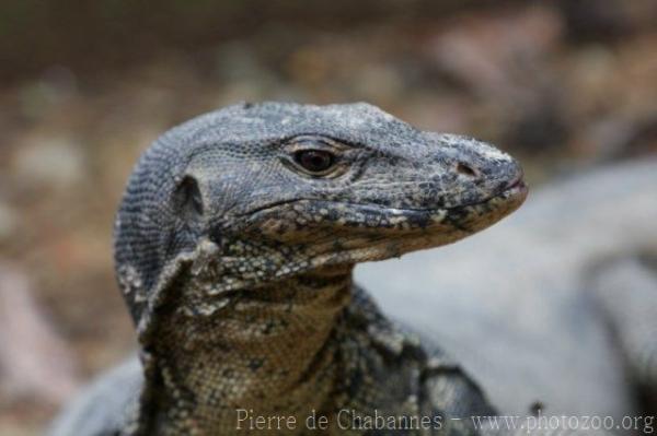 Common water monitor